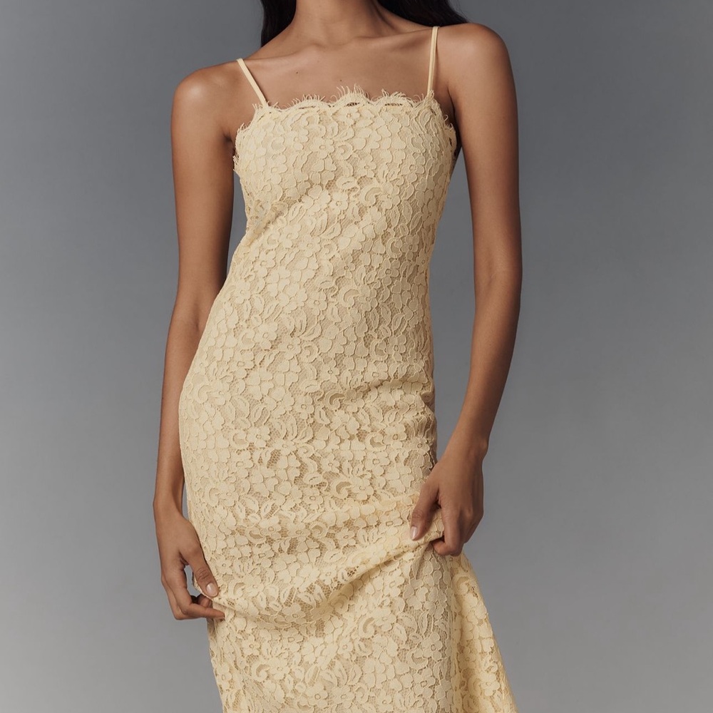 Anthropologie - Endless Rose Scallop Lace Slim Midi Dress